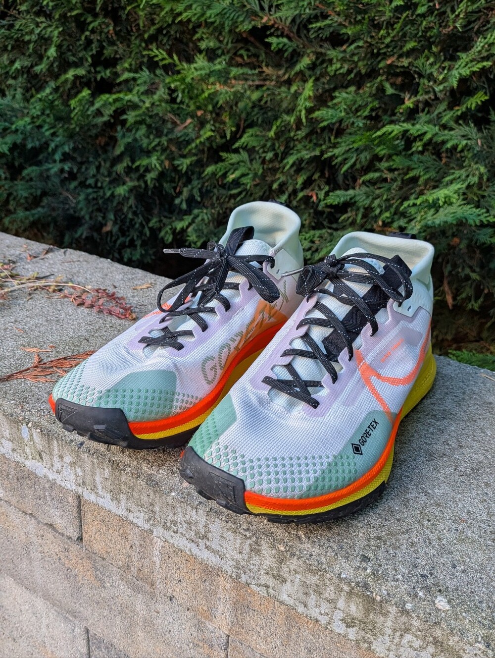 Nike Pegasus Trail Runners, Gore Tex